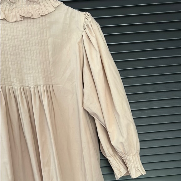 Rodner Figueroa Amazing Coquette Beige-y Pink Ruffle Dress, Size Small - Picture 10 of 15